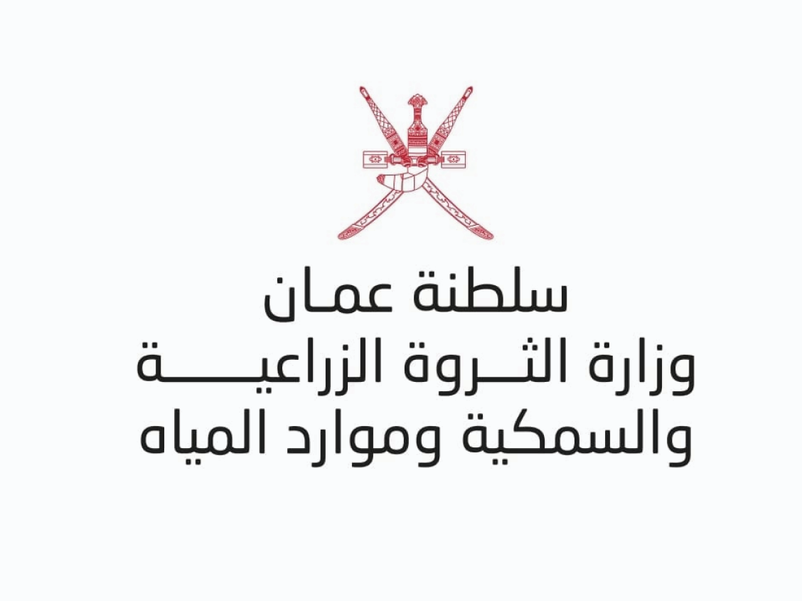 العميل 13